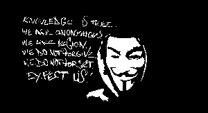 The U.S. government indicted 13 suspected members of the hacking group Anonymous Oct. 3 accusing them of attacking government, credit card, and lobbying websites. They are charged with “conspiracy to intentionally cause damage to protected computers” as part of Anonymous’ Operation Payback. Defense for these comrades will be forthcoming.