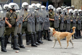 Loukanikos, the dog who faced down Greek police during the height of the eurozone crisis, passed away peacefully in autumn 2014, having retired from protests in 2012.