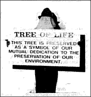 Photo, Tree of Life sign installed by Detroit city authorities